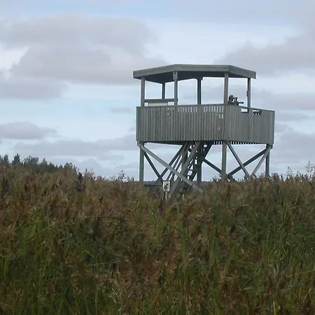 Dom wakacyjny Nuorisokeskus Elba Kokkola (Karleby)