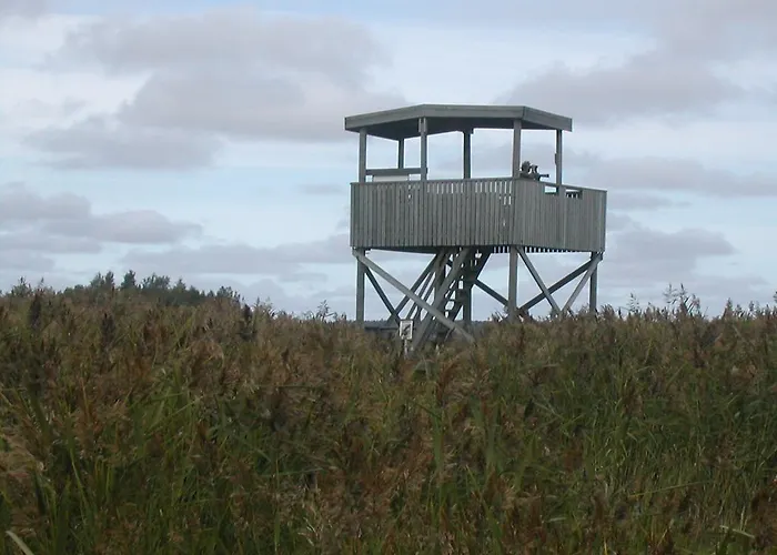 بيت للعطل Nuorisokeskus Elba كوكولا